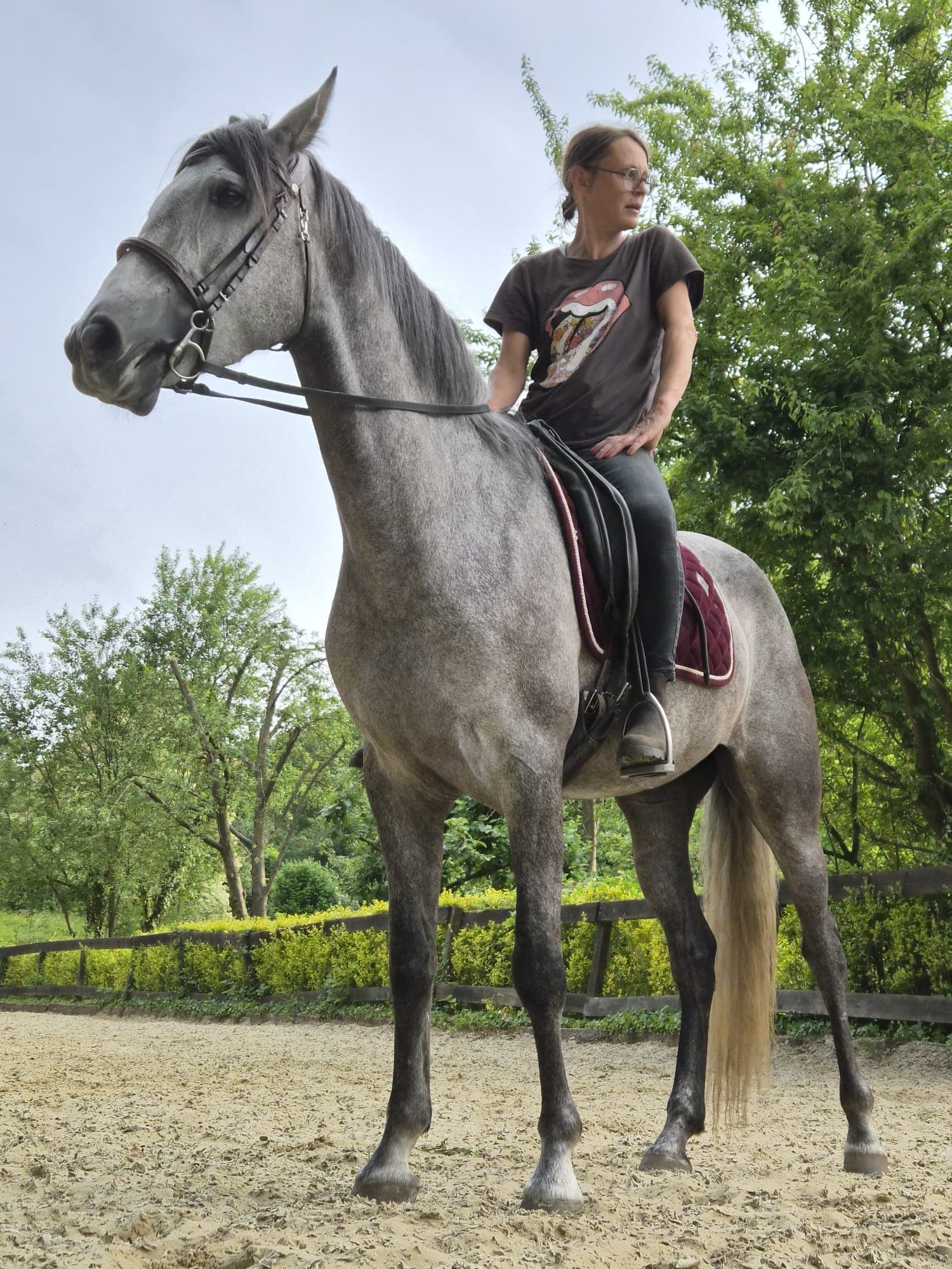 Marjorie à cheval sur un grand gris au manège