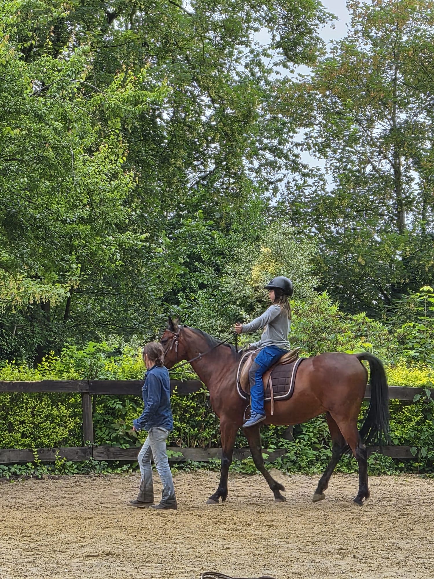 Cours avec monitrice au manège