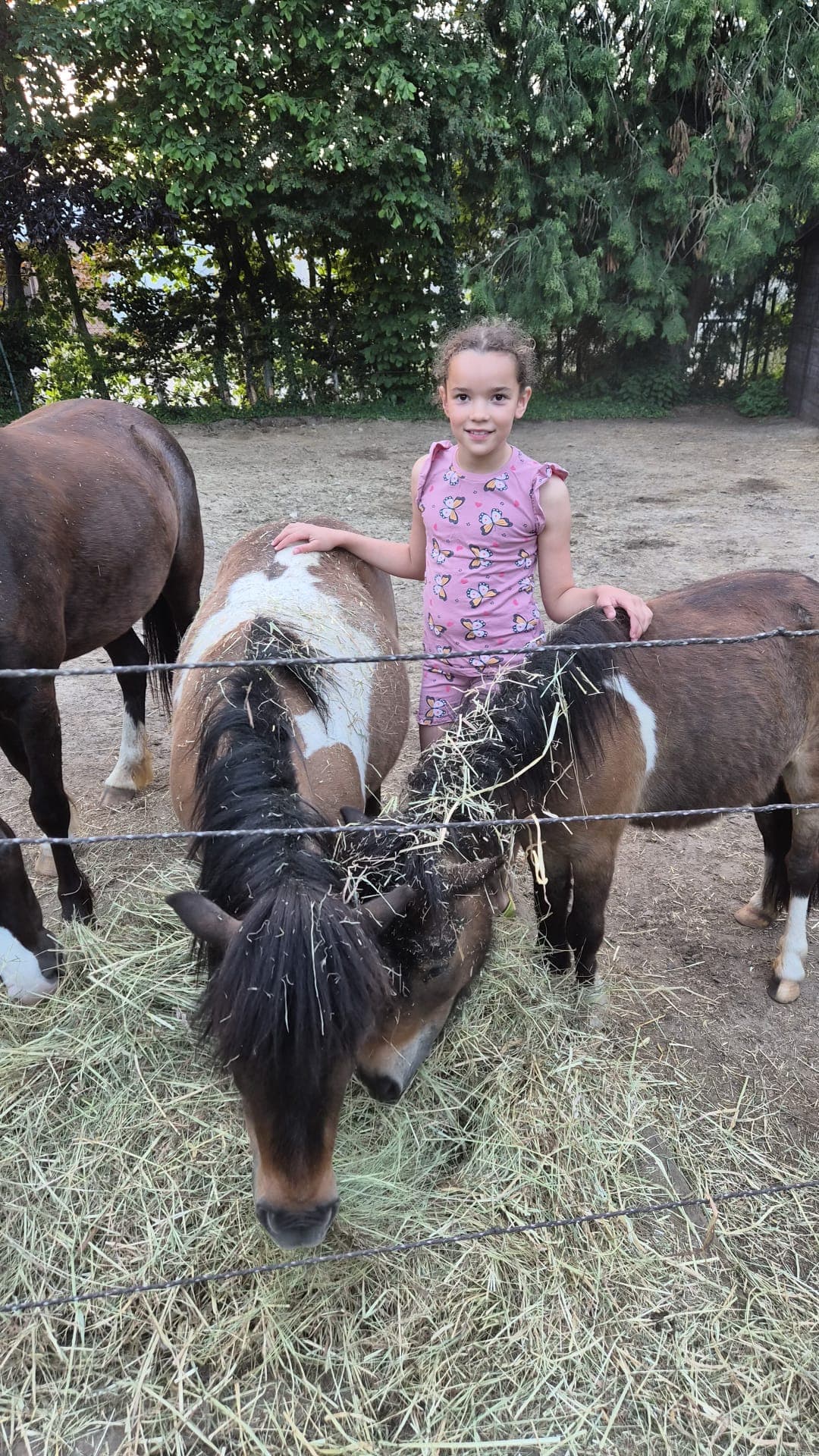 Petite fille avec ses poneys
