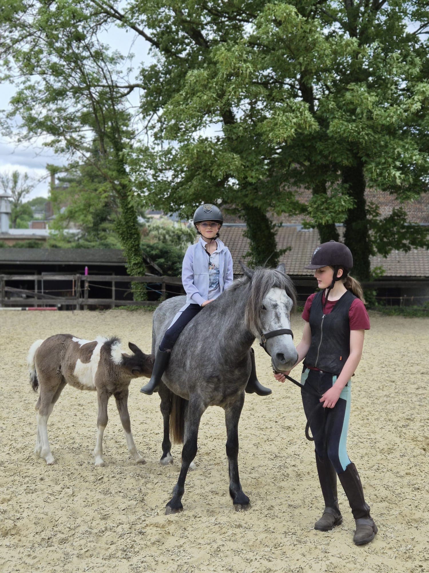 Enfant à cheval avec la monitrice et le poulain