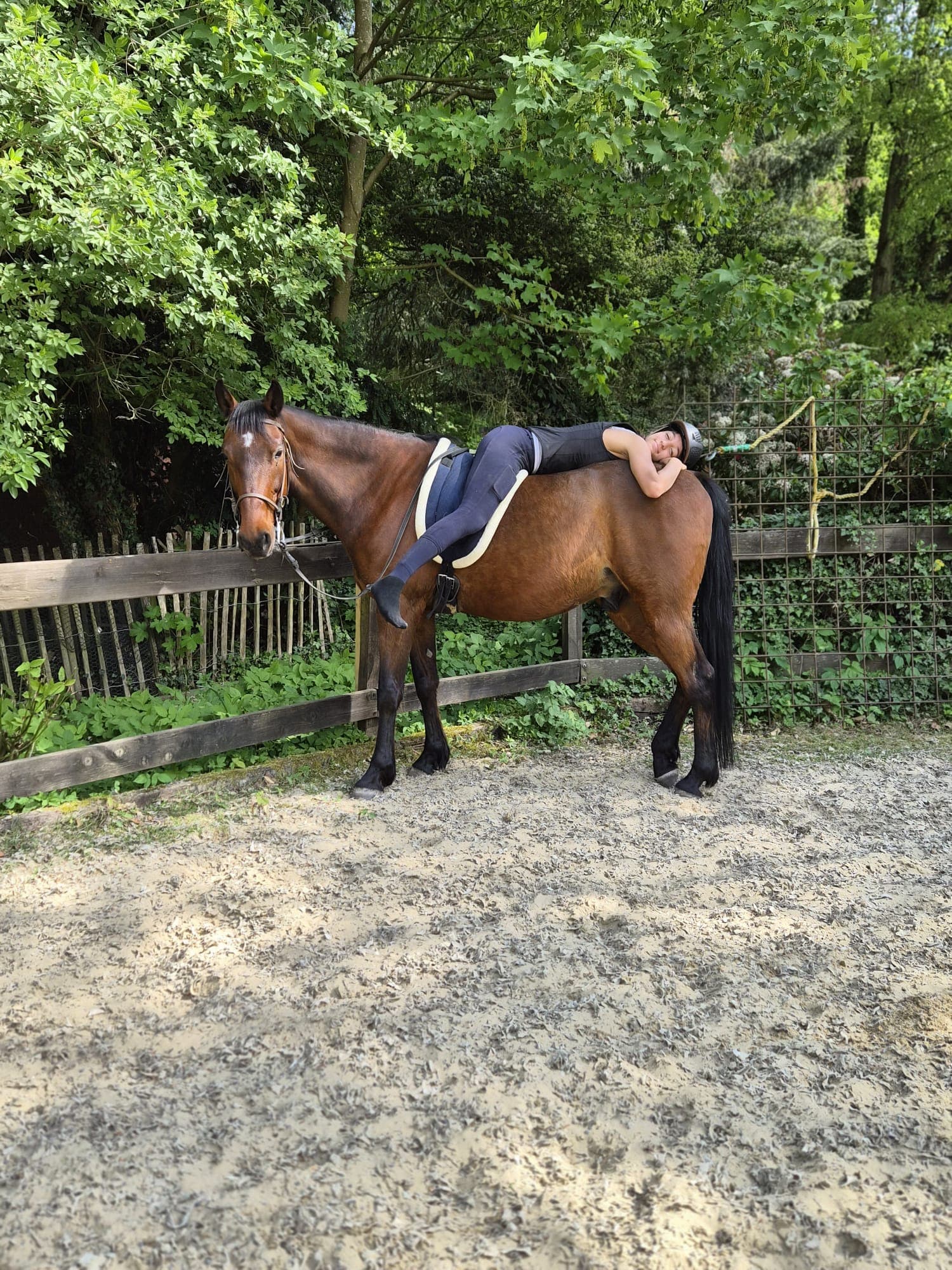 Cavalière allongée sur son cheval