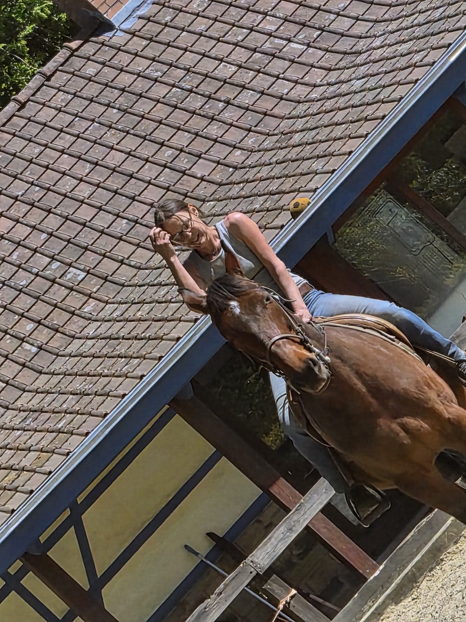 Cavalière vue du dessus au manège