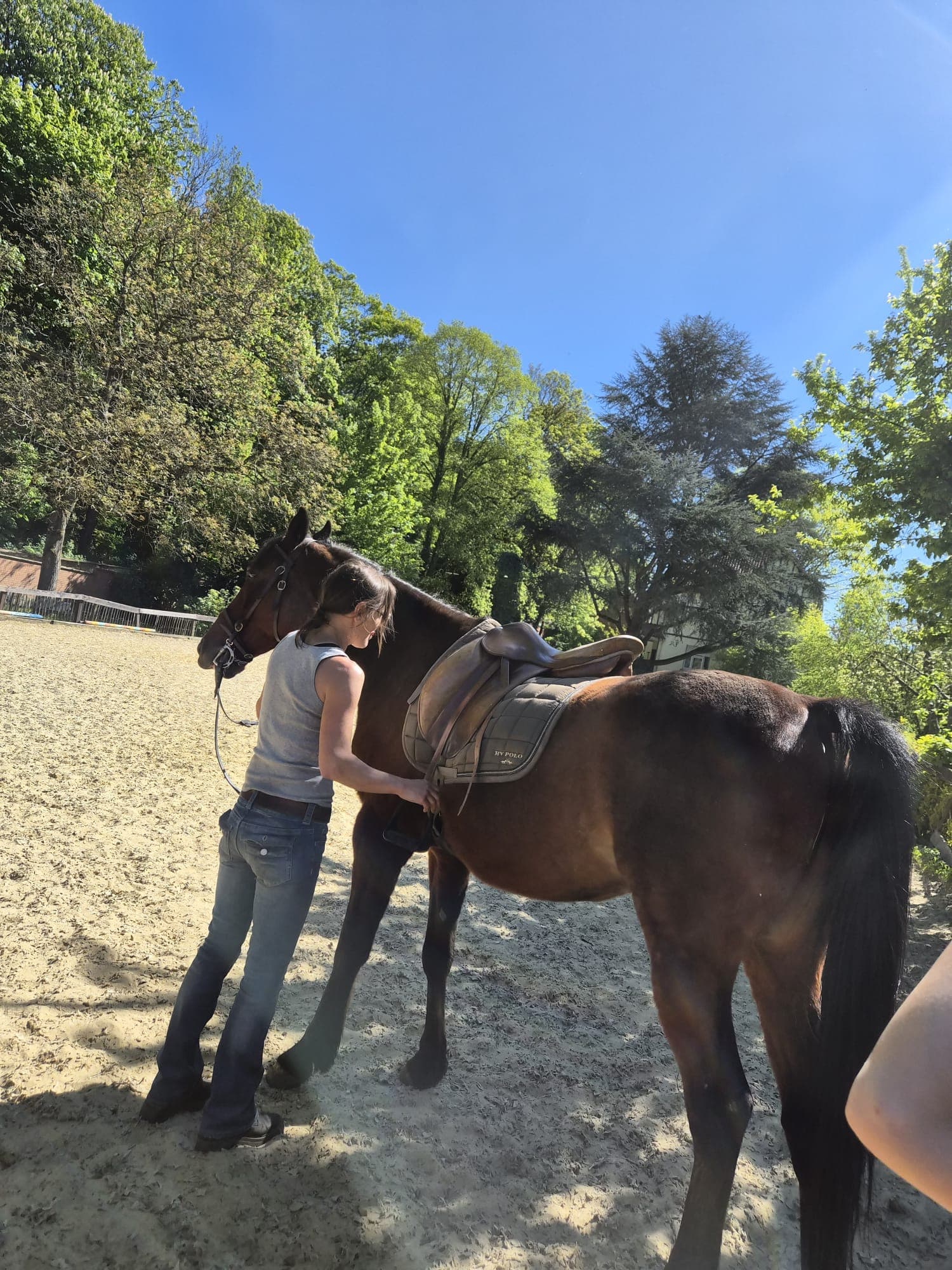 Préparation et sellage du cheval